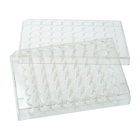 Tissue Culture Plate, Sterile, 48-Well